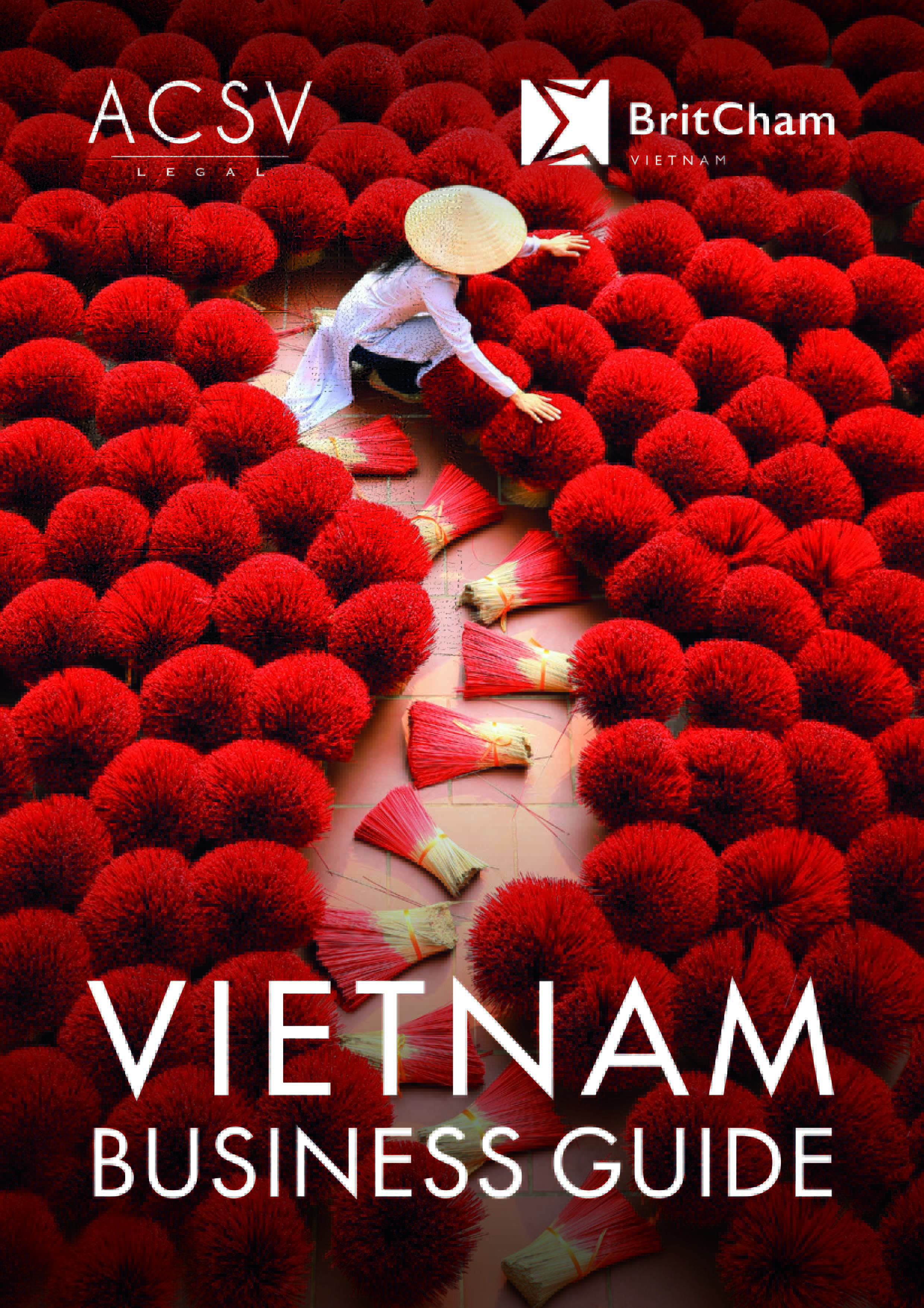 VietNam Business Guide 2021