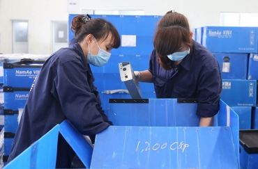 Đẩy mạnh thu hút đầu tư tại Khu công nghiệp Cầu cảng Phước Đông